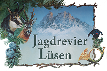 Jagdrevier Lüsen